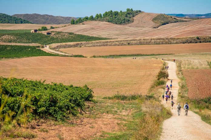 A group of people walking walking down a dirt road in Spain on their way to Santiago de Compostela